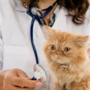 gestione rifiuti veterinari