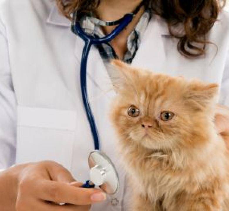 gestione rifiuti veterinari